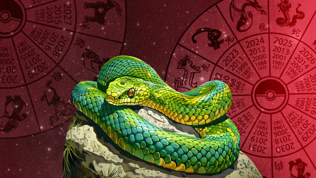 Астролог рассказала, что ждать от года Зеленой Деревянной Змеи