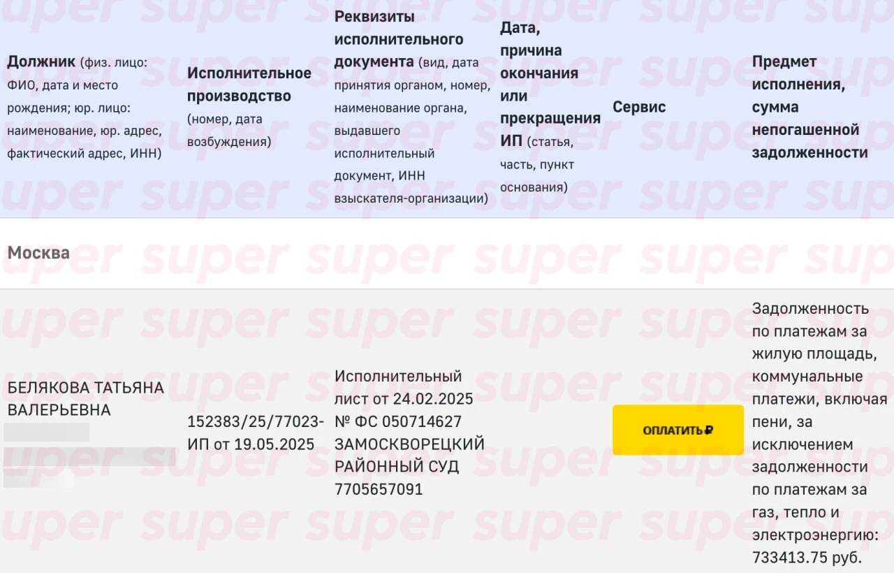 Задолженность Татьяны Беляковой по платежам за ЖКХ. Фото: сайт Федеральной службы судебных приставов 