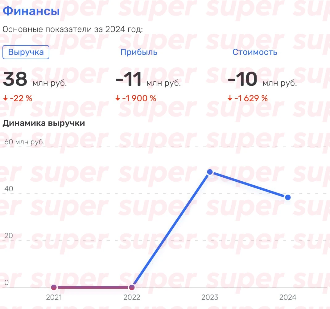 Финансовая отчетность делового центра «Плющиха 55» за 2024 год. Фото: Rusprofile