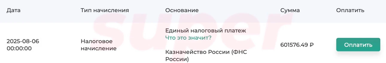 Неоплаченные налоги Аркадия Чекалина. Фото: gosnalogi.ru