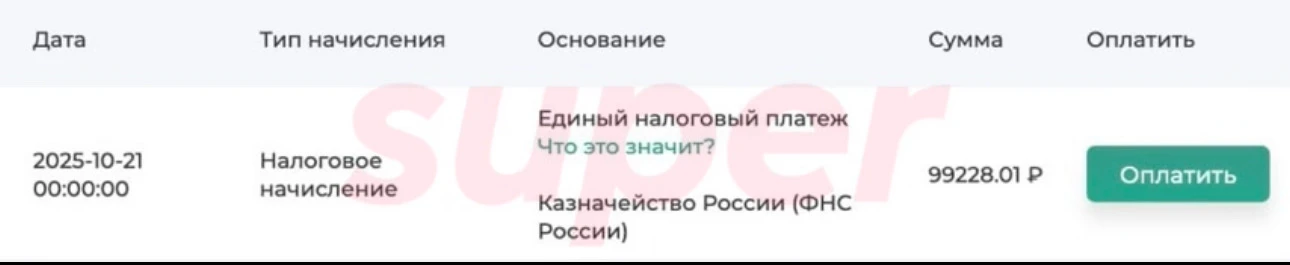 Информация о налоговых задолженностях Кирилла Емельянова. Скриншот: gosnalogi.ru