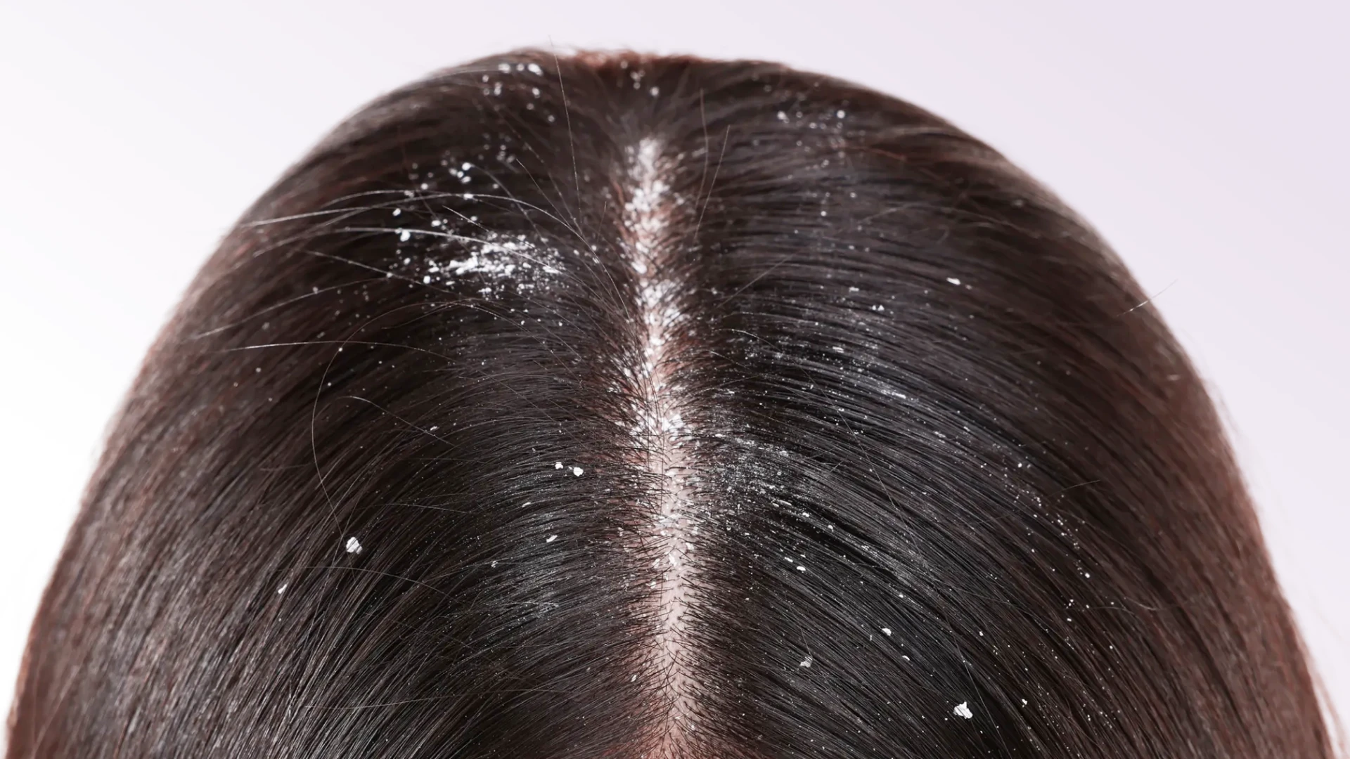 Фото: архив пресс-службы