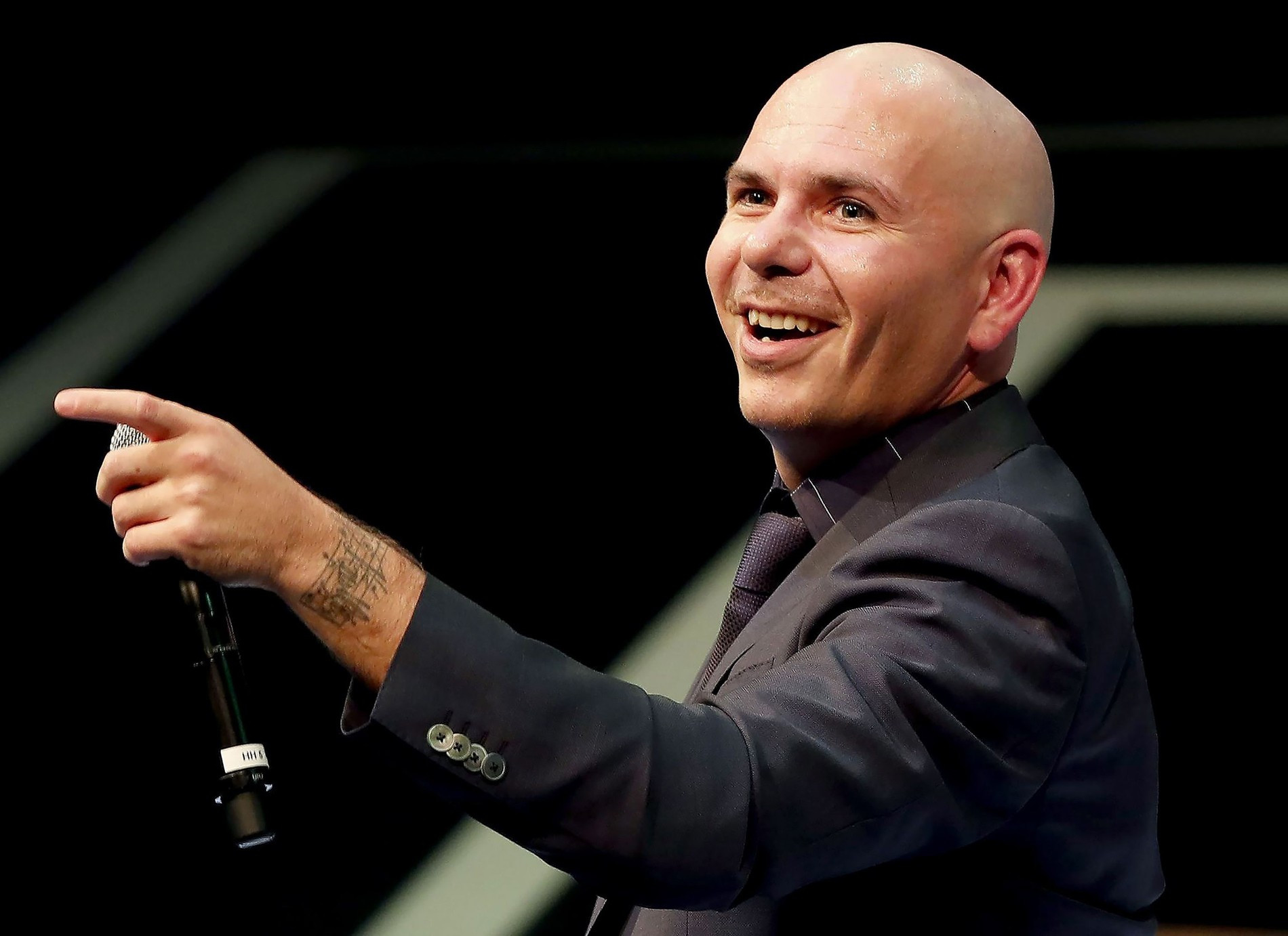 4. Pitbull