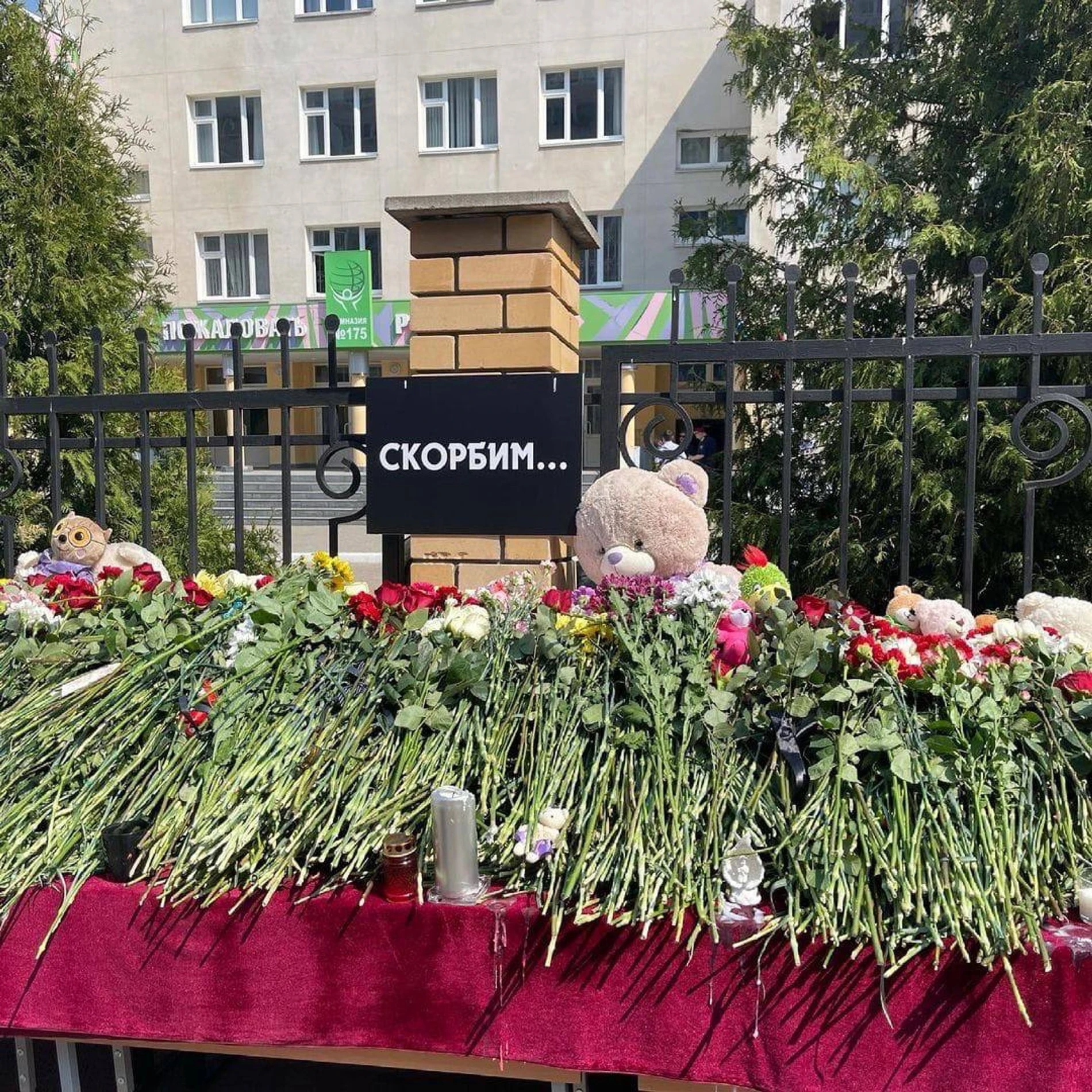 Фотография к посту Давида