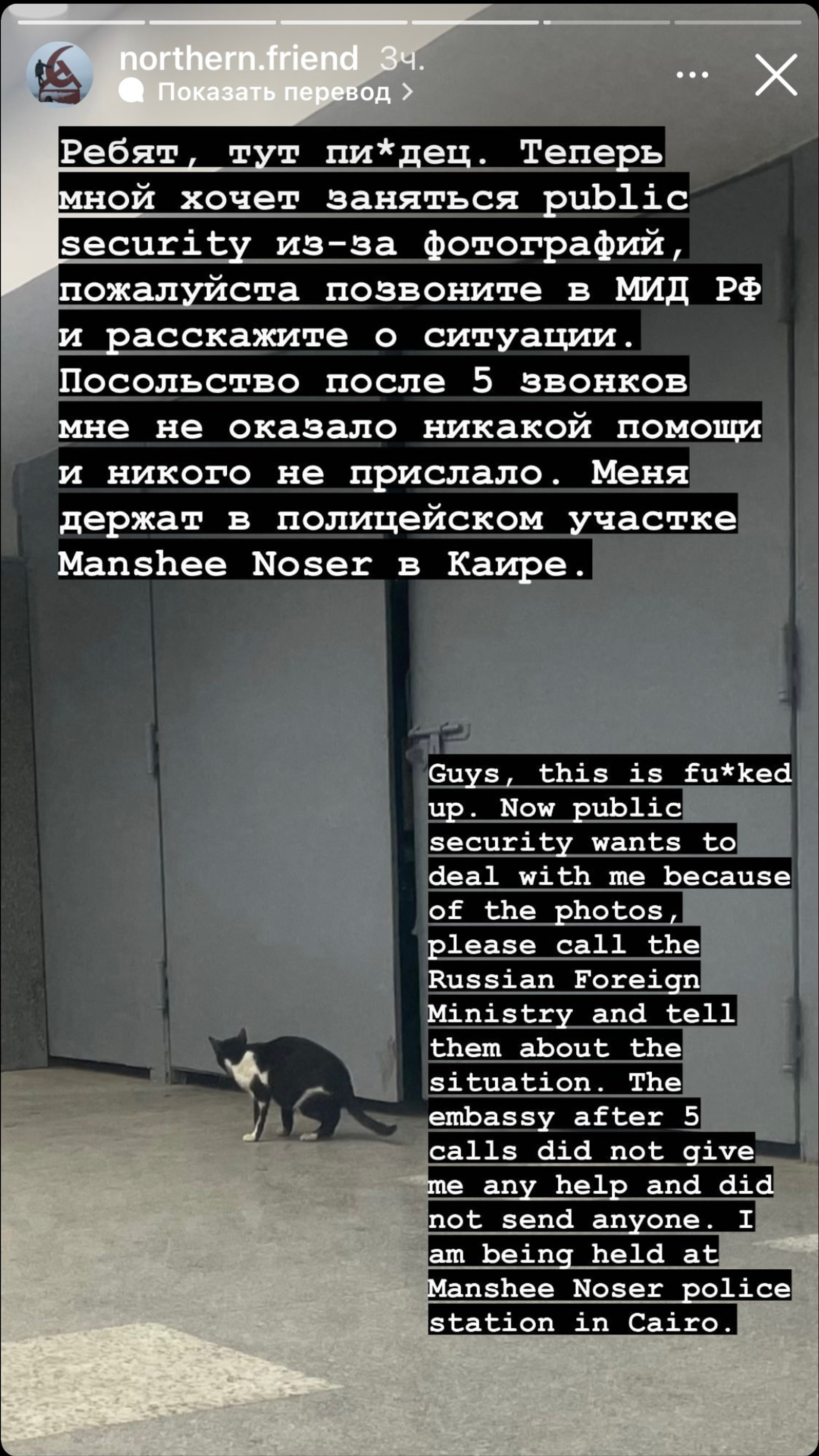 Скрин сторис @northen.friend