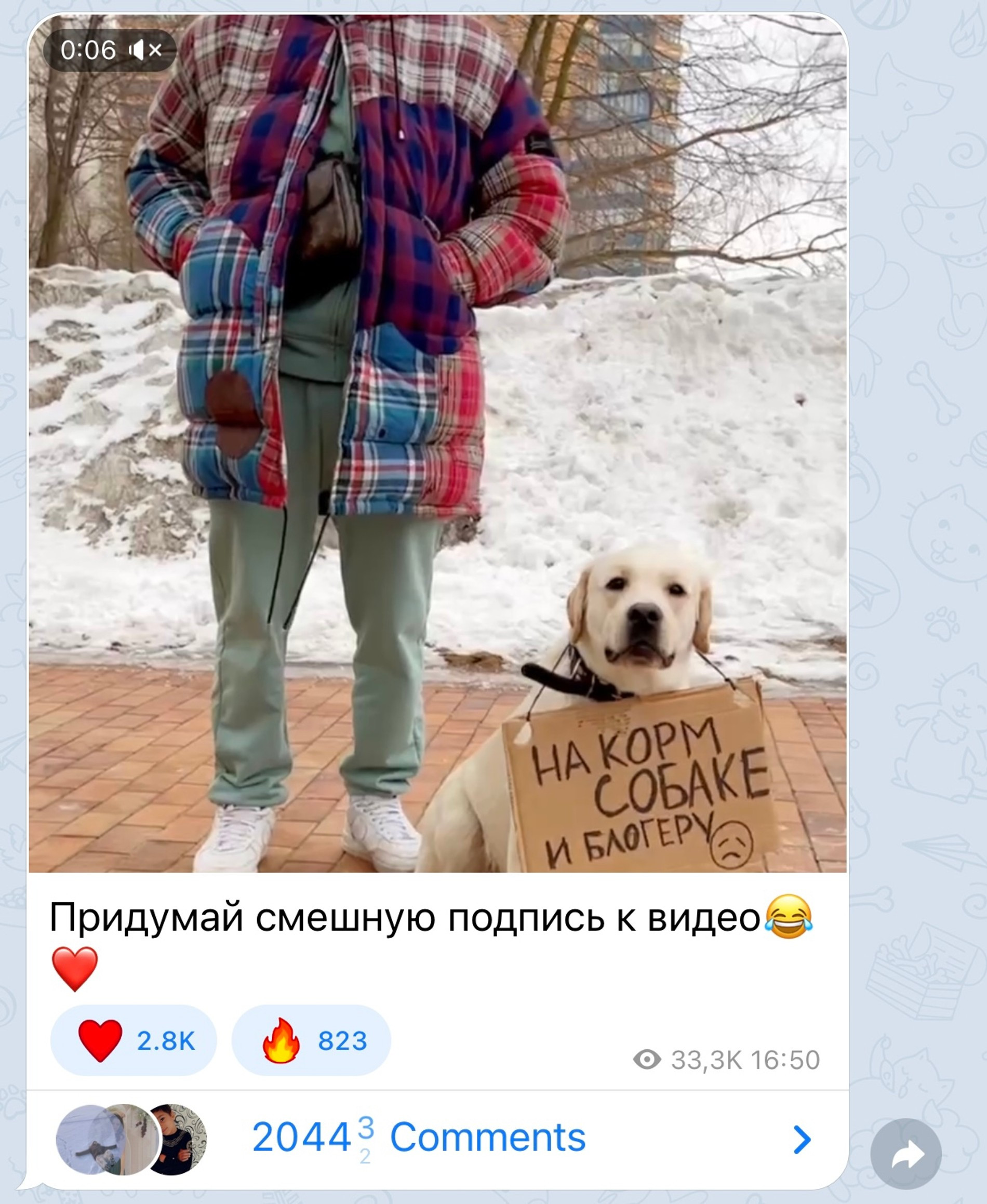 Фото: Телеграм Dava