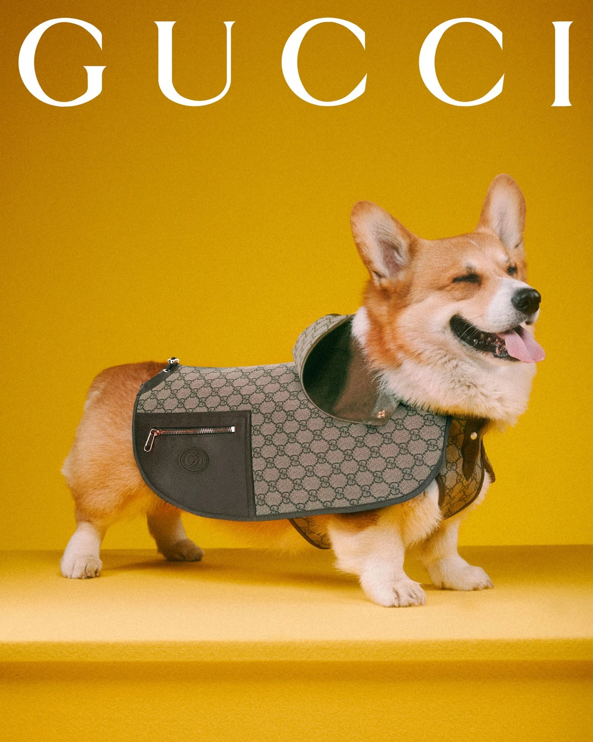 Фото: Max Siedentopf / Gucci