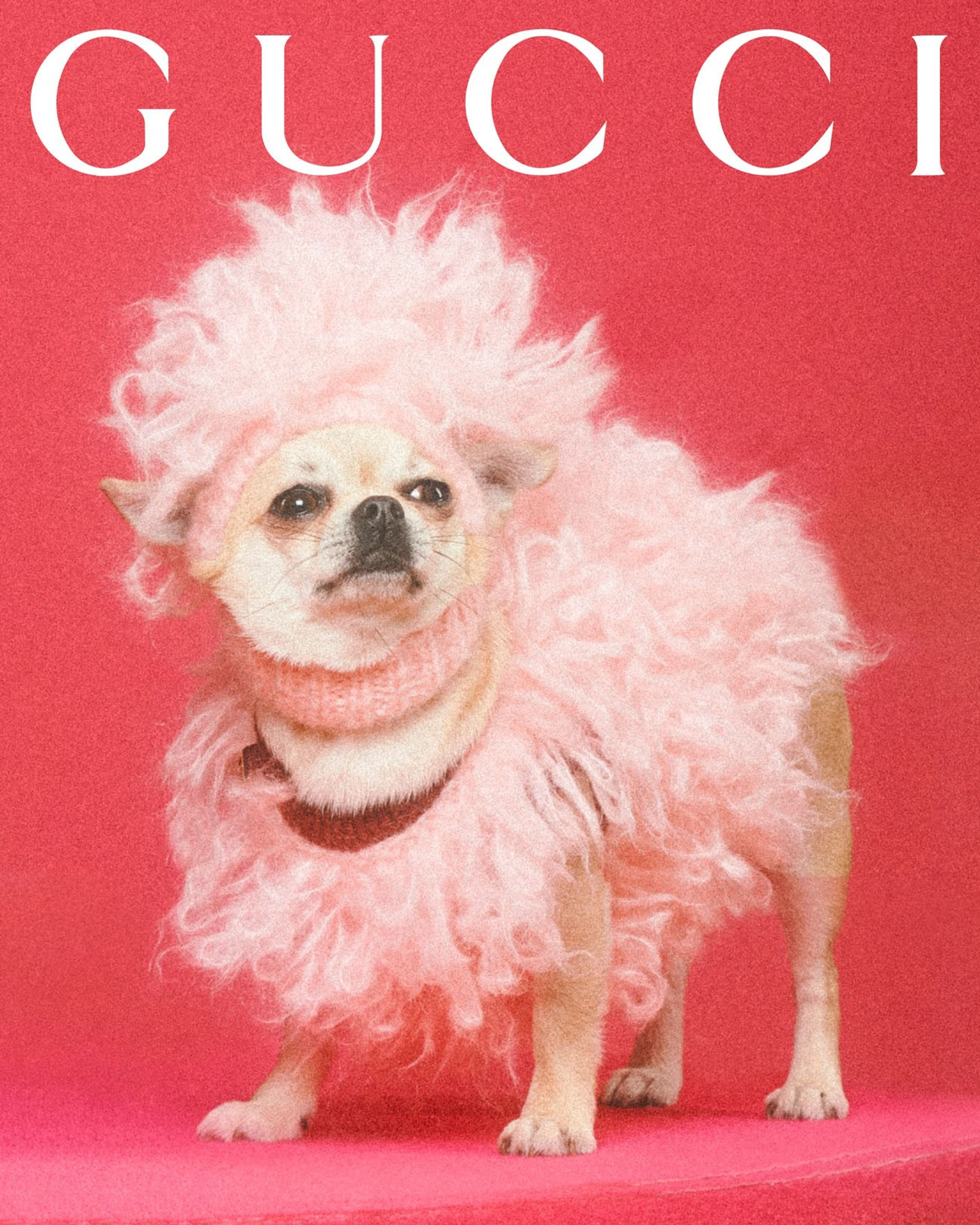Фото: Max Siedentopf / Gucci