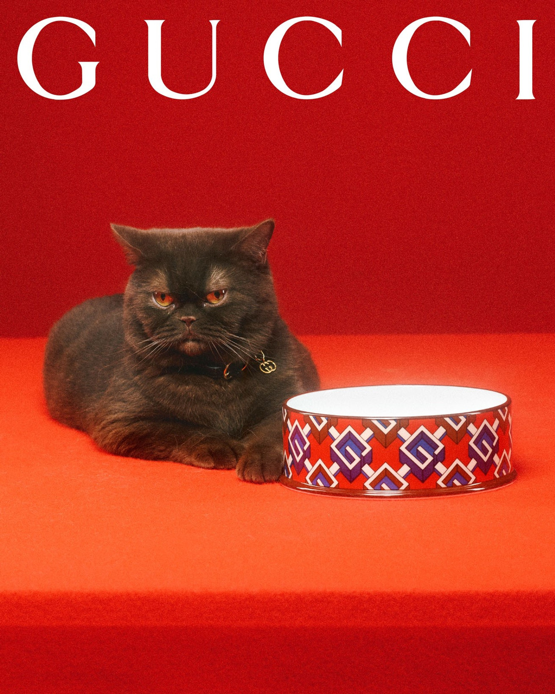 Фото: Max Siedentopf / Gucci