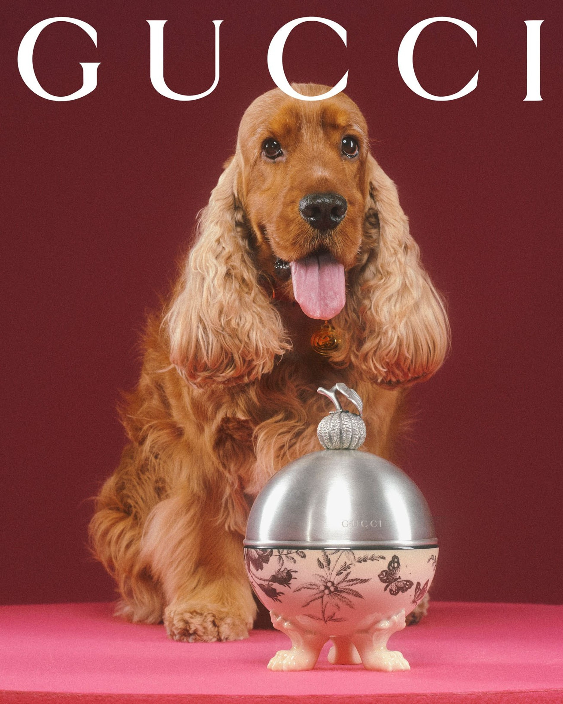 Фото: Max Siedentopf / Gucci