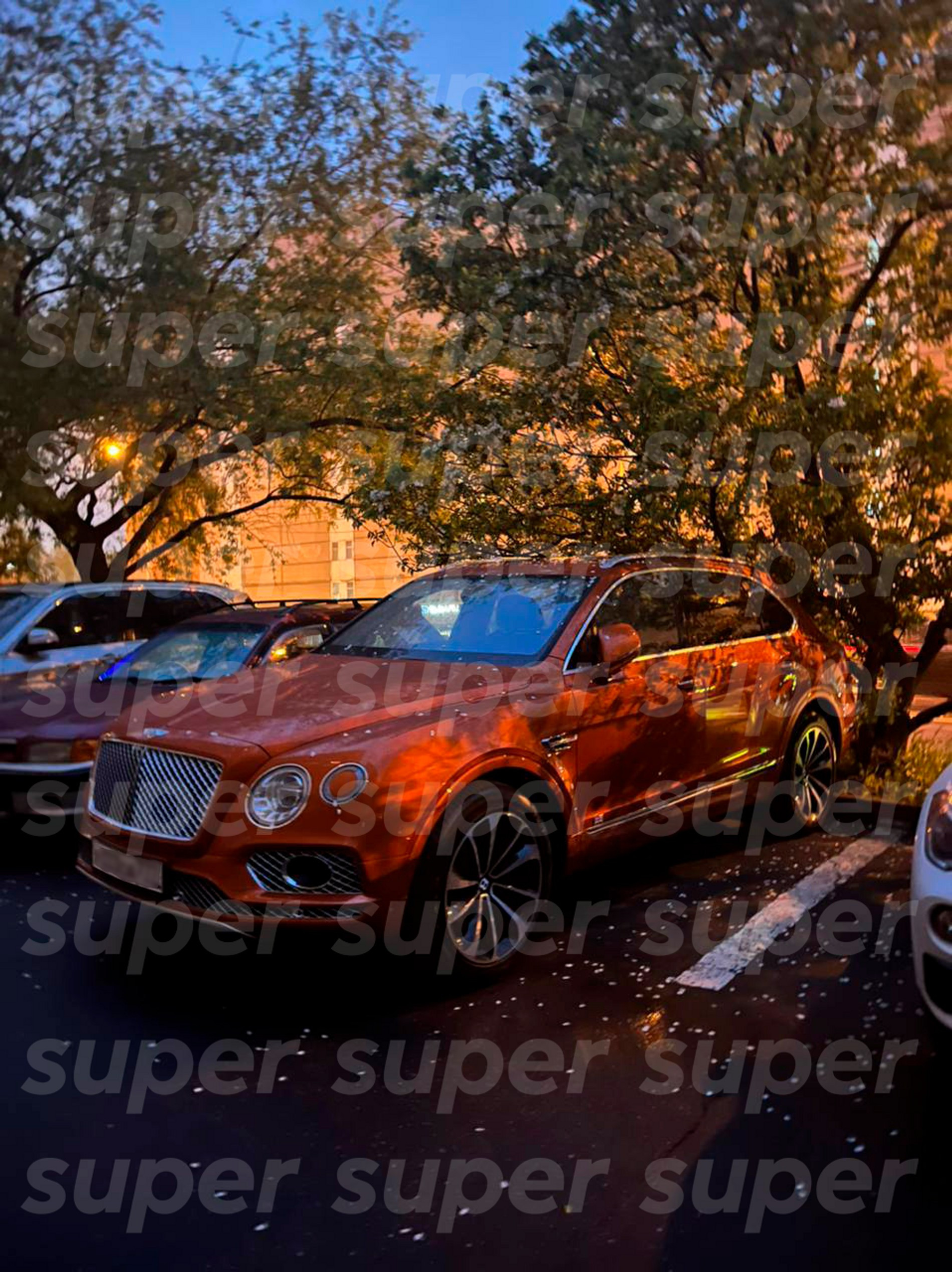 Фото: Super.ru