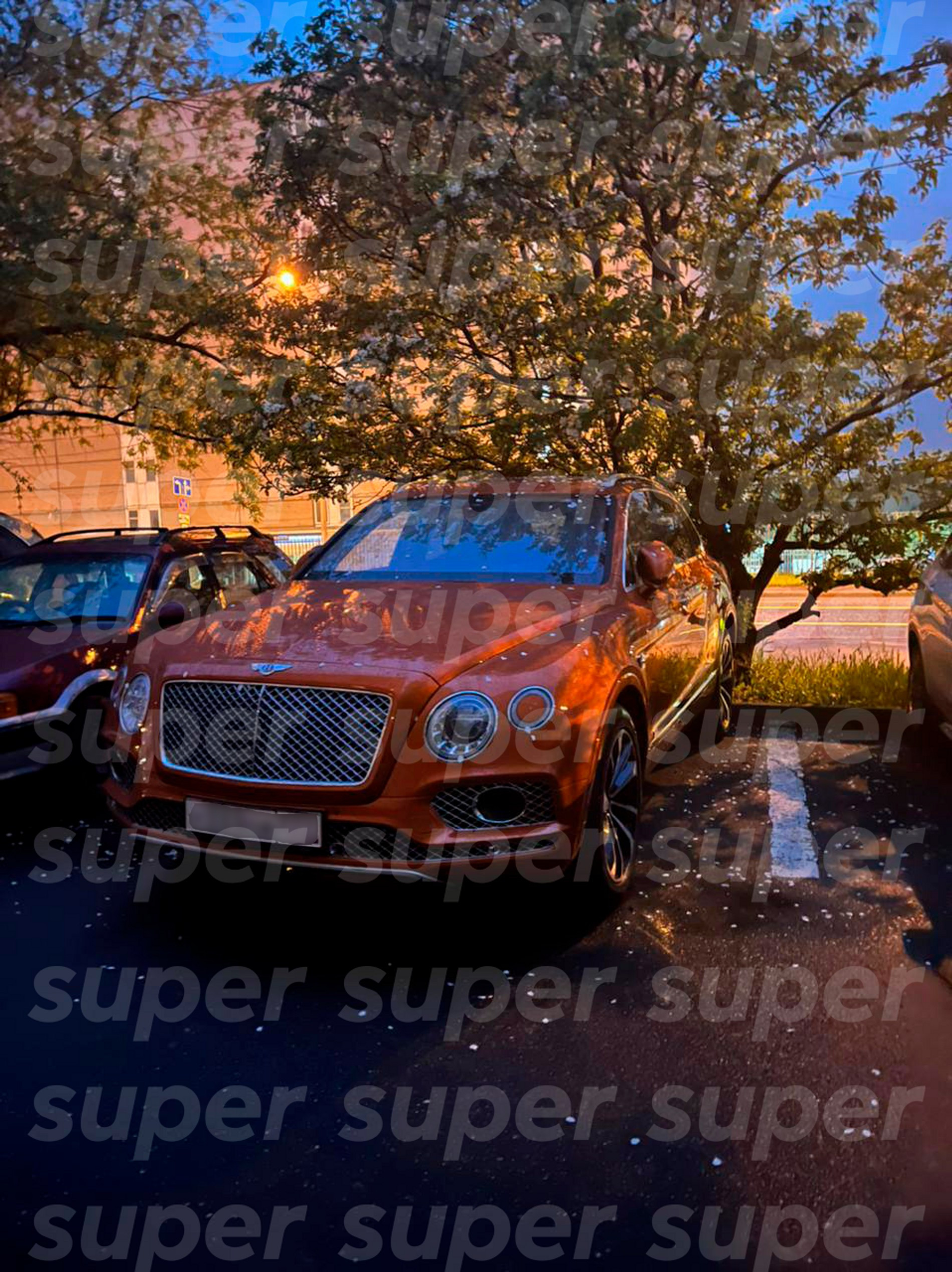 Фото: Super.ru