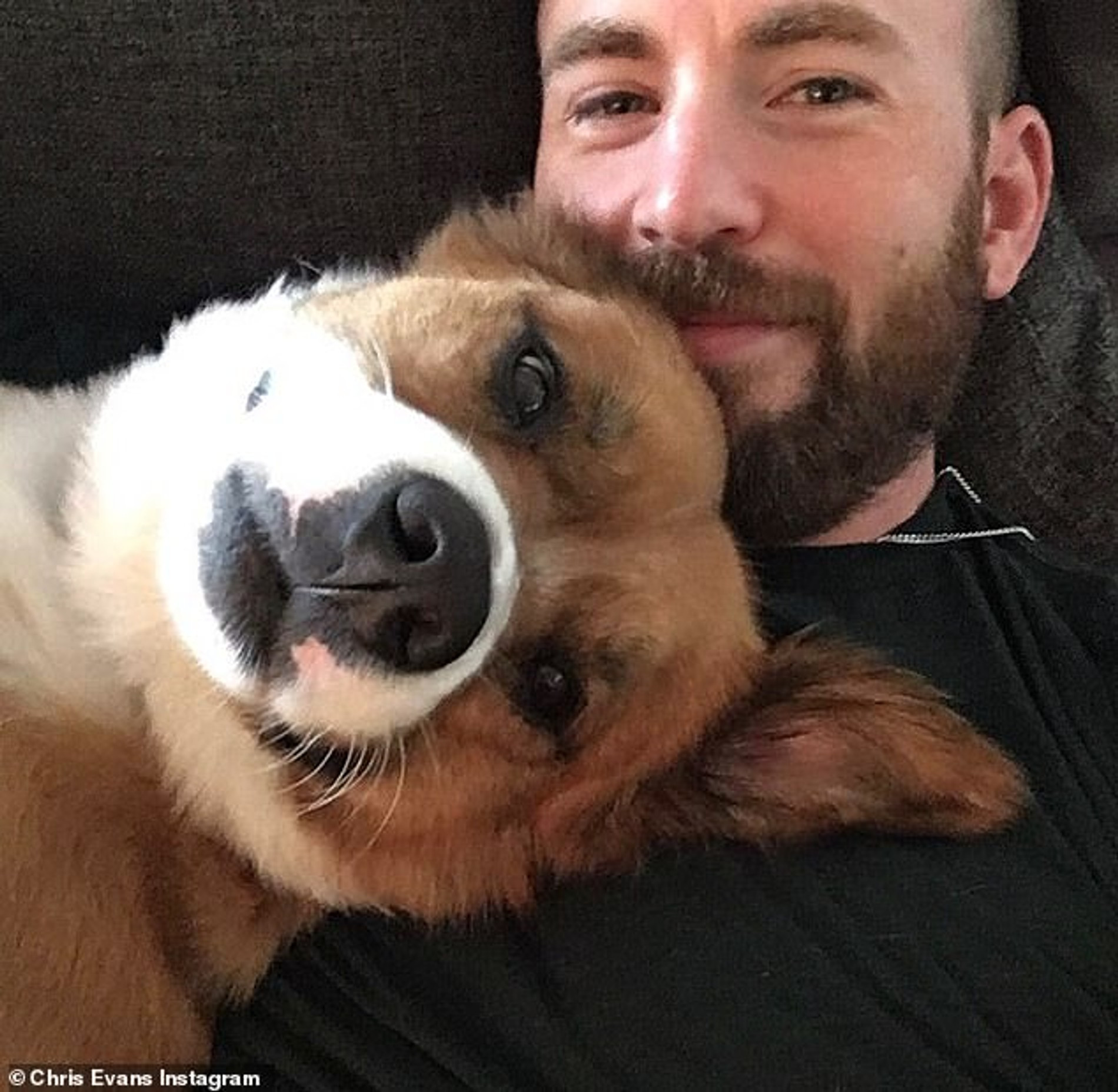 Крис Эванс
Фото © Instagram (запрещен в РФ) @chrisevans