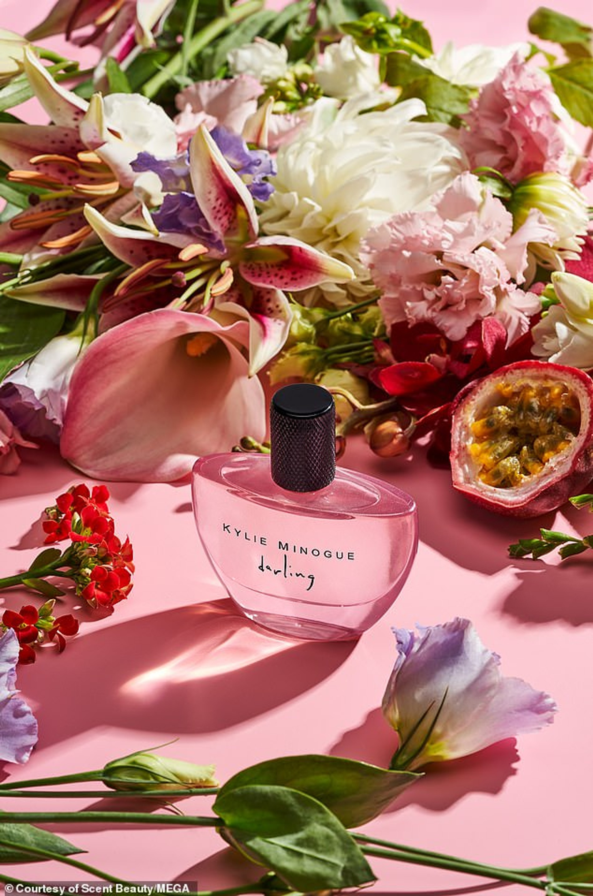 Фото: Scent Beauty / MEGA