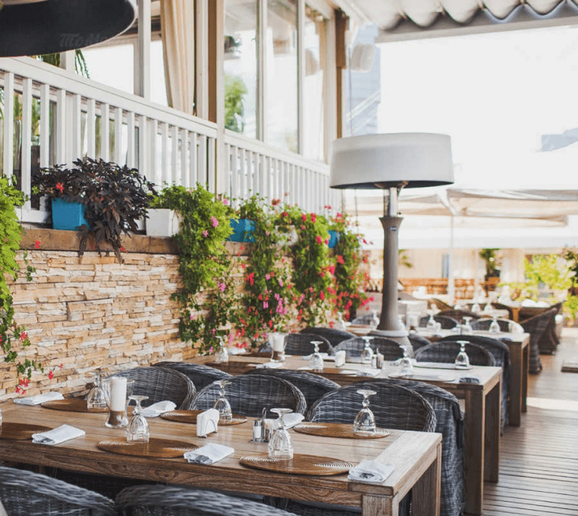 Источник: Novikov Group