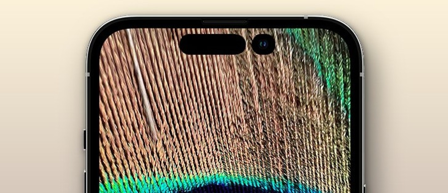 Frontpagetech.com