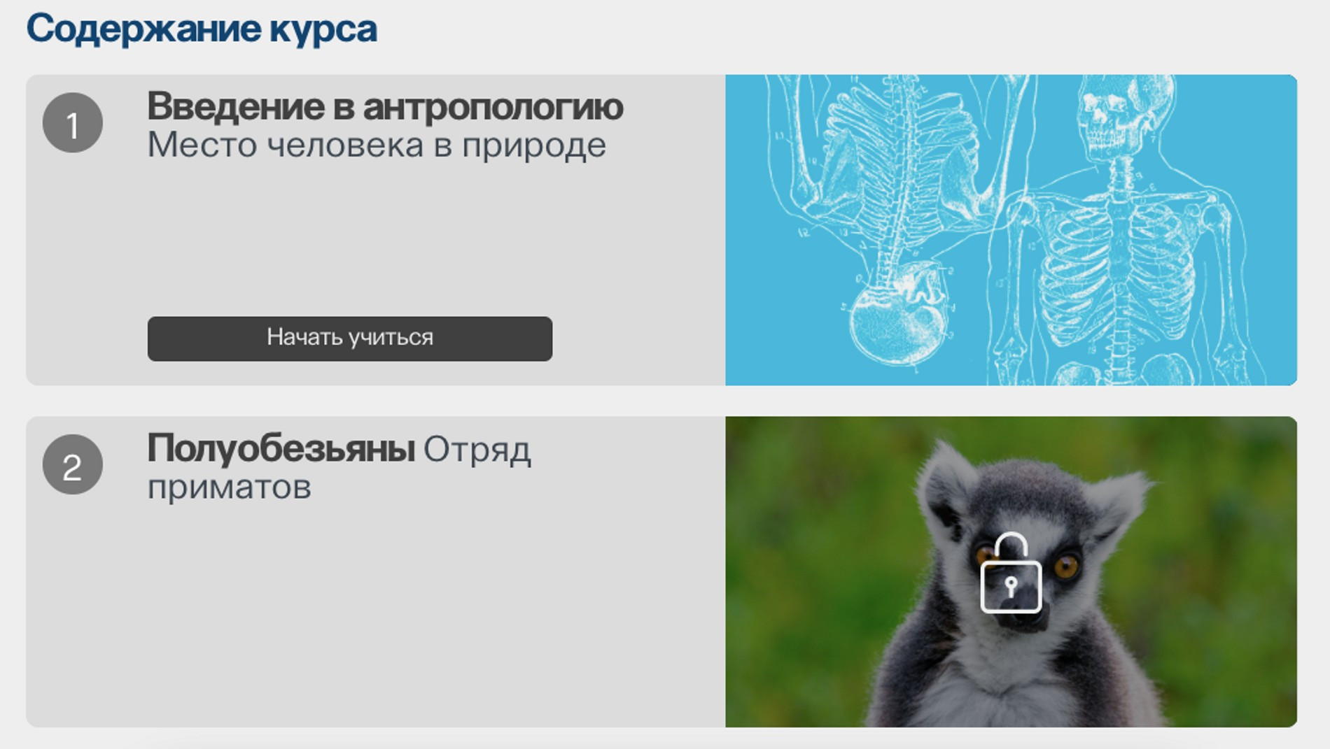 Источник: сайт ПостНаука.Academy