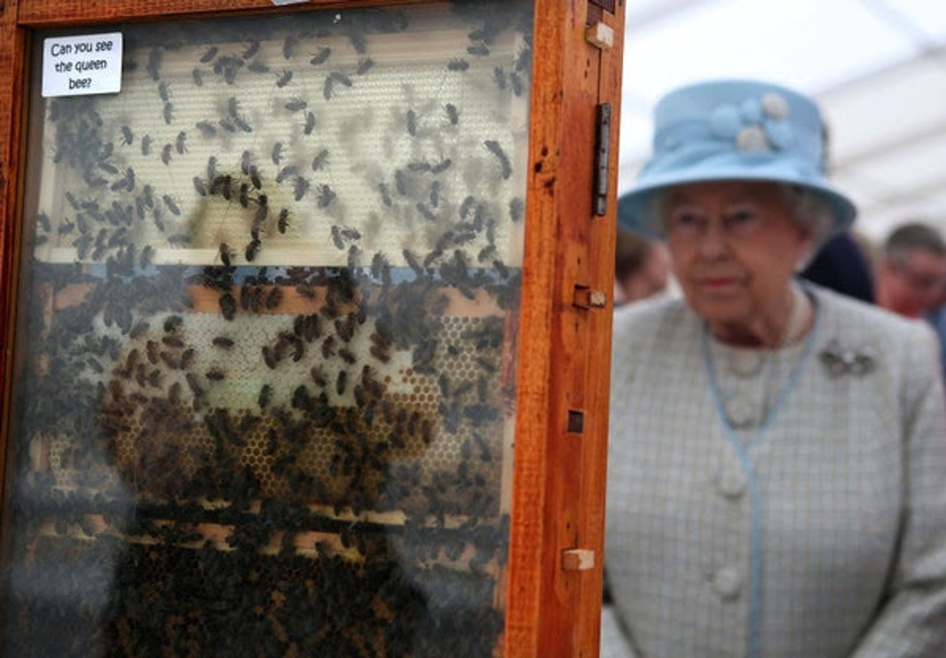 Фото: ANDREW MILLIGAN/PA IMAGES/GETTY IMAGES