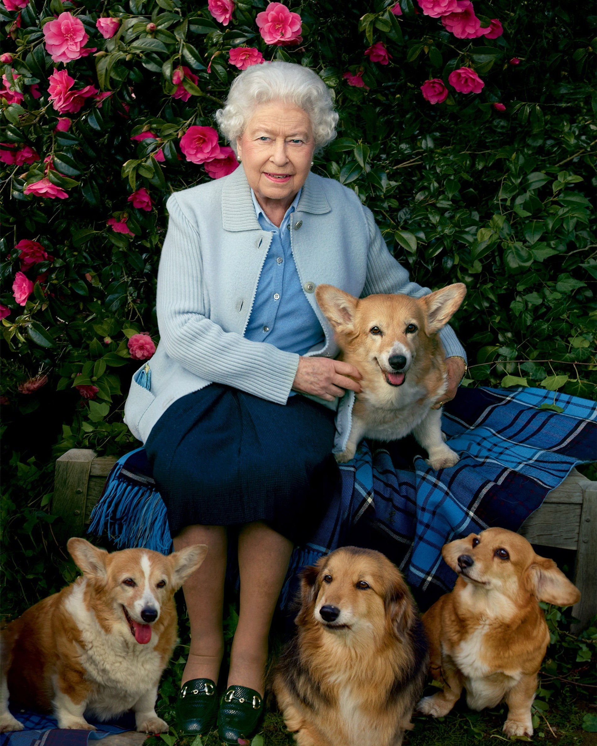 Фото: Vanity Fair