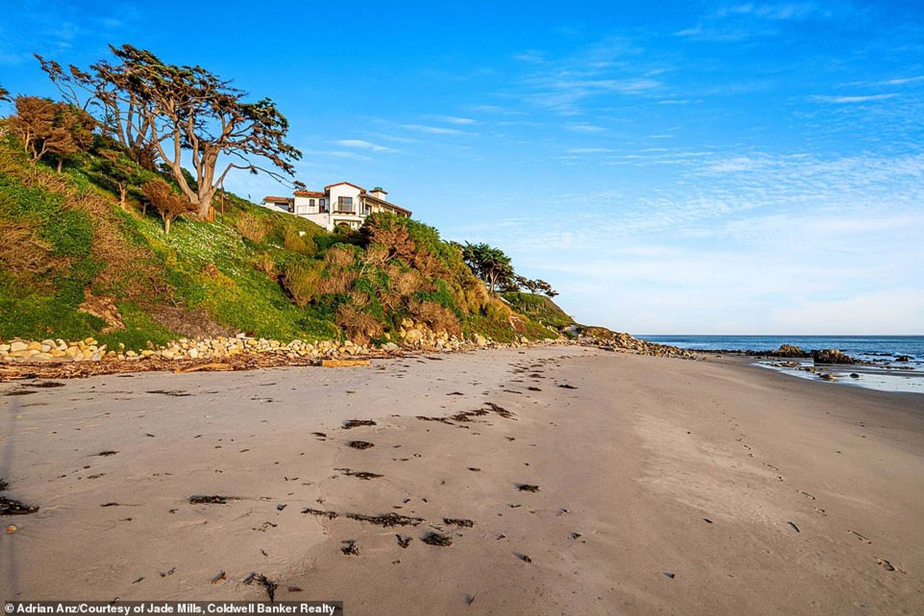 Фото: Daily Mail