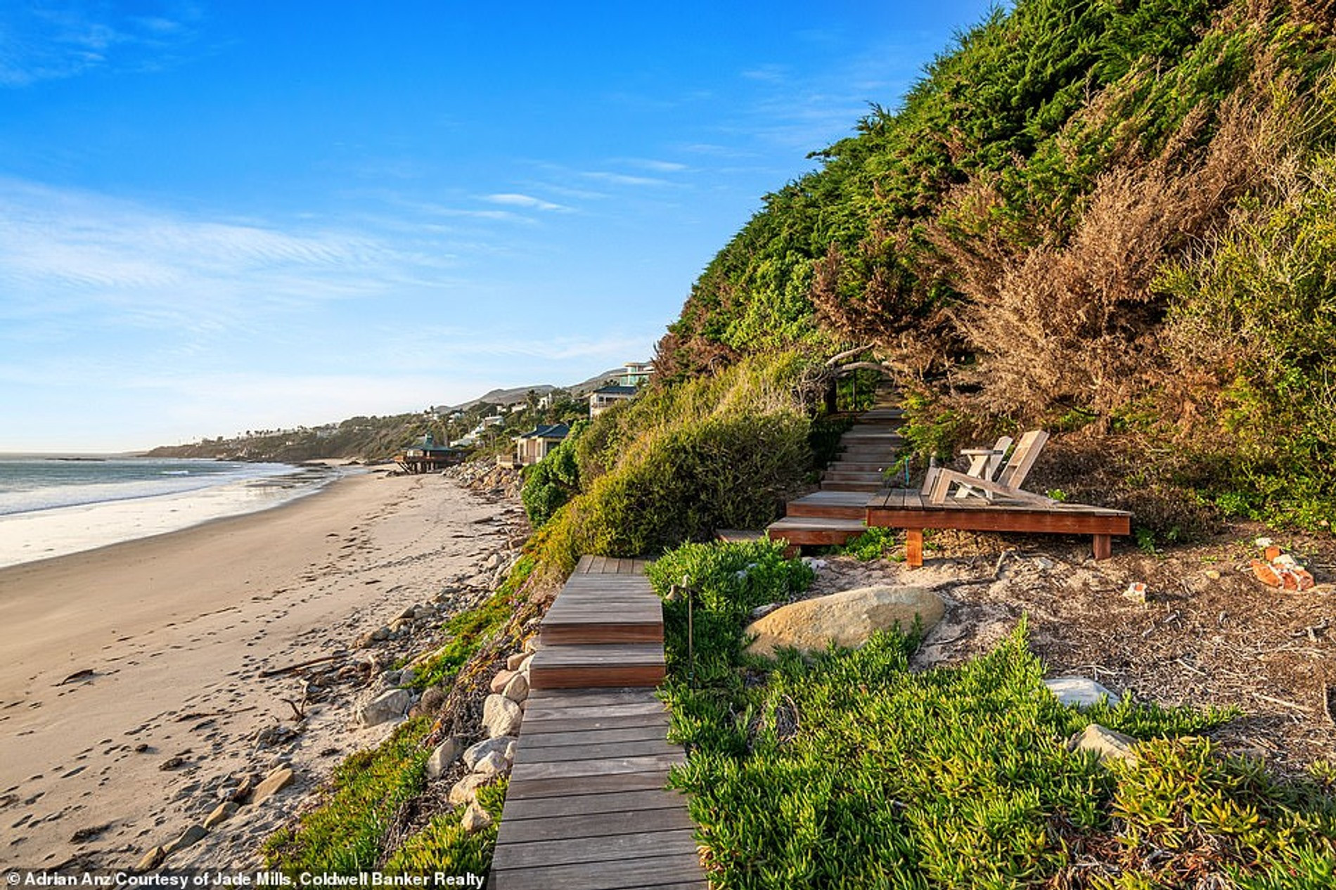 Фото: Daily Mail