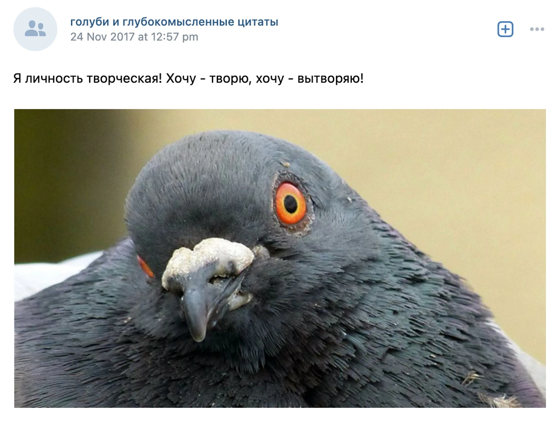 Источник: ВКонтакте