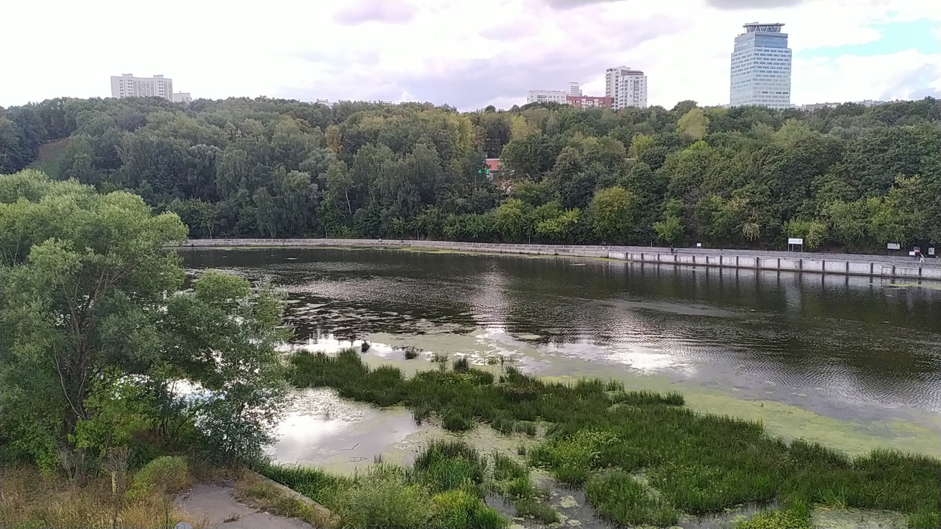 Вид на престижные дома и кустарники (Крылатское). Источник: архив автора