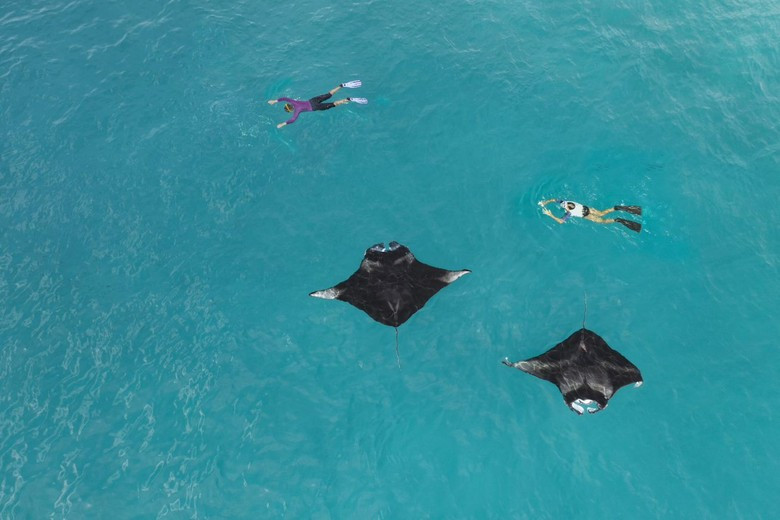 Фото: The Westin Maldives