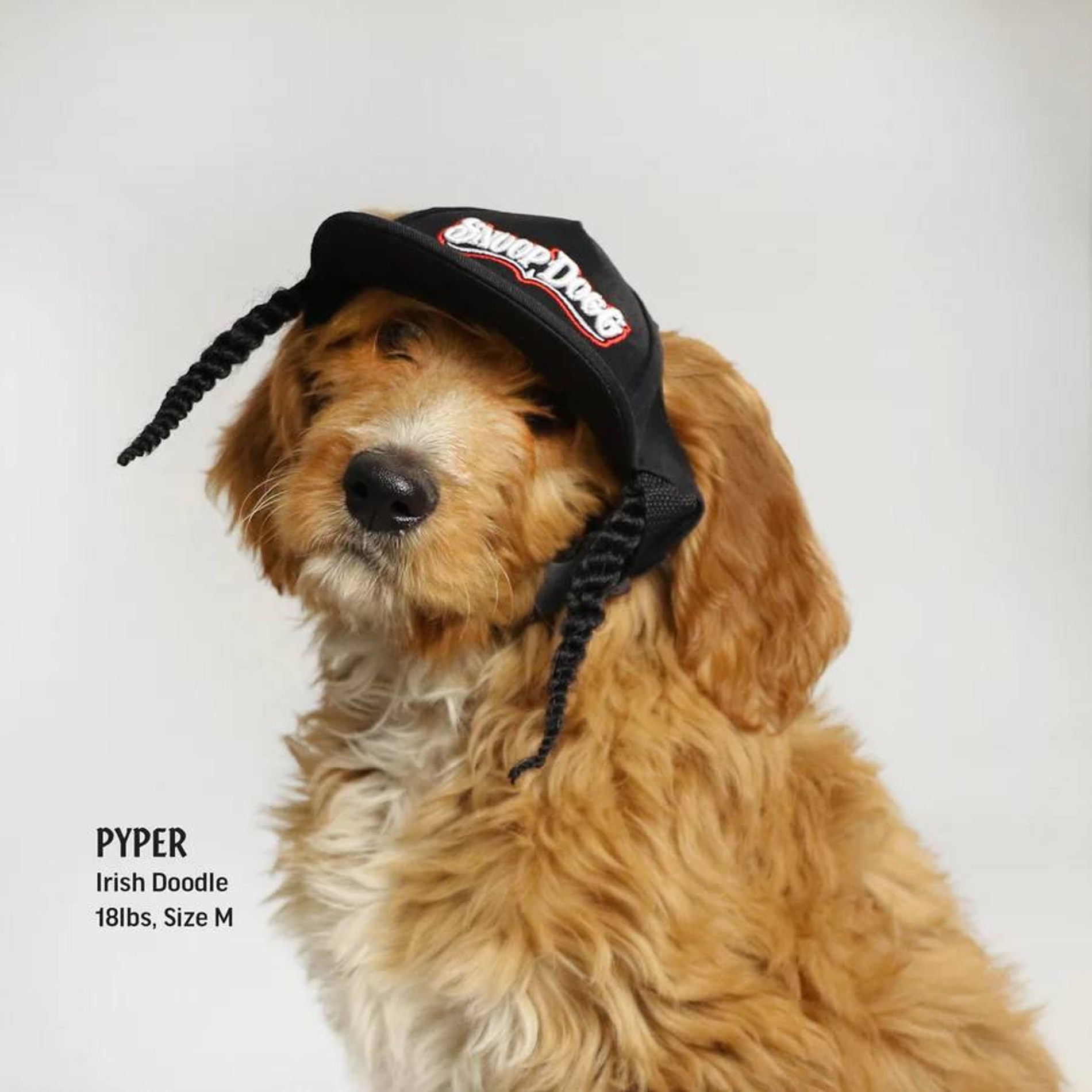 Фото: Snoop Doggie Doggs