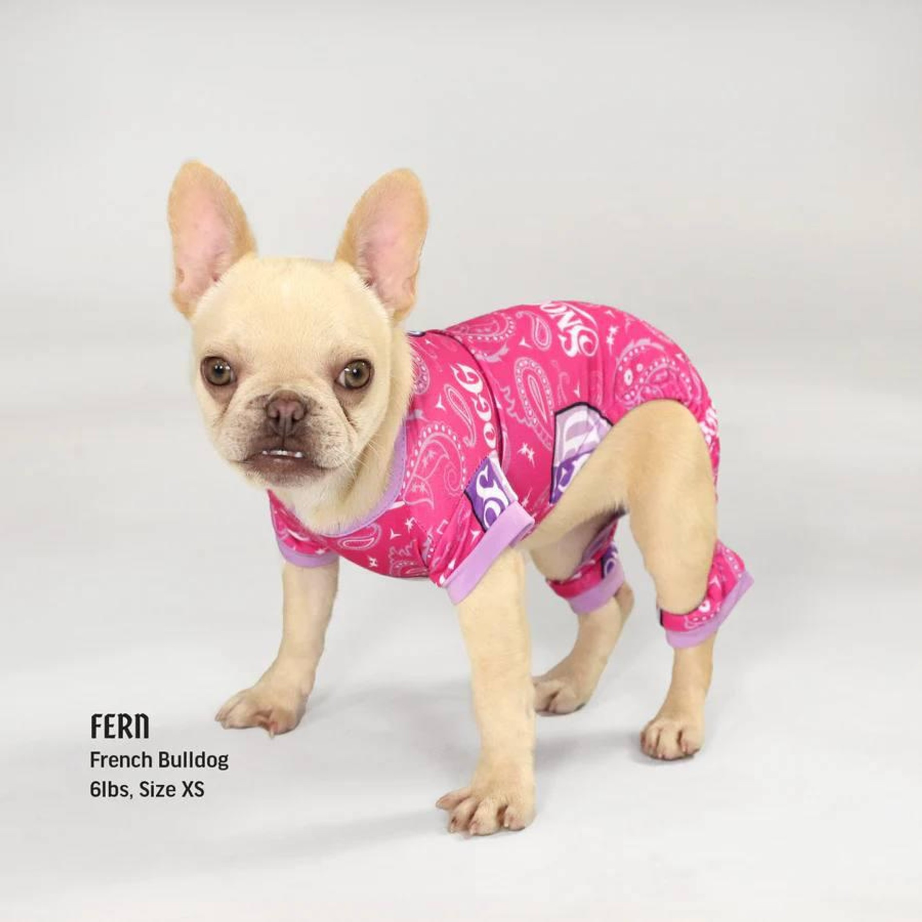 Фото: Snoop Doggie Doggs