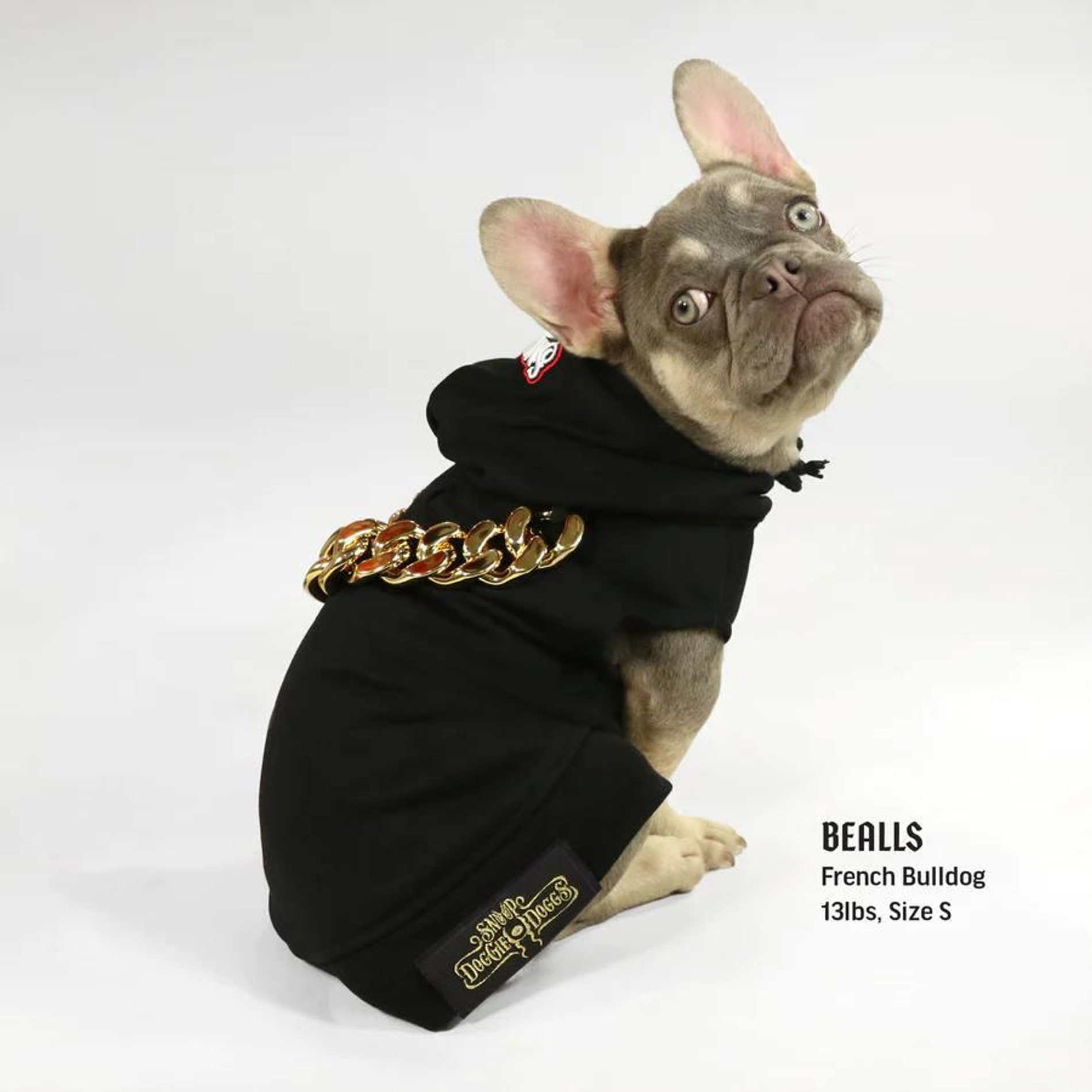 Фото: Snoop Doggie Doggs