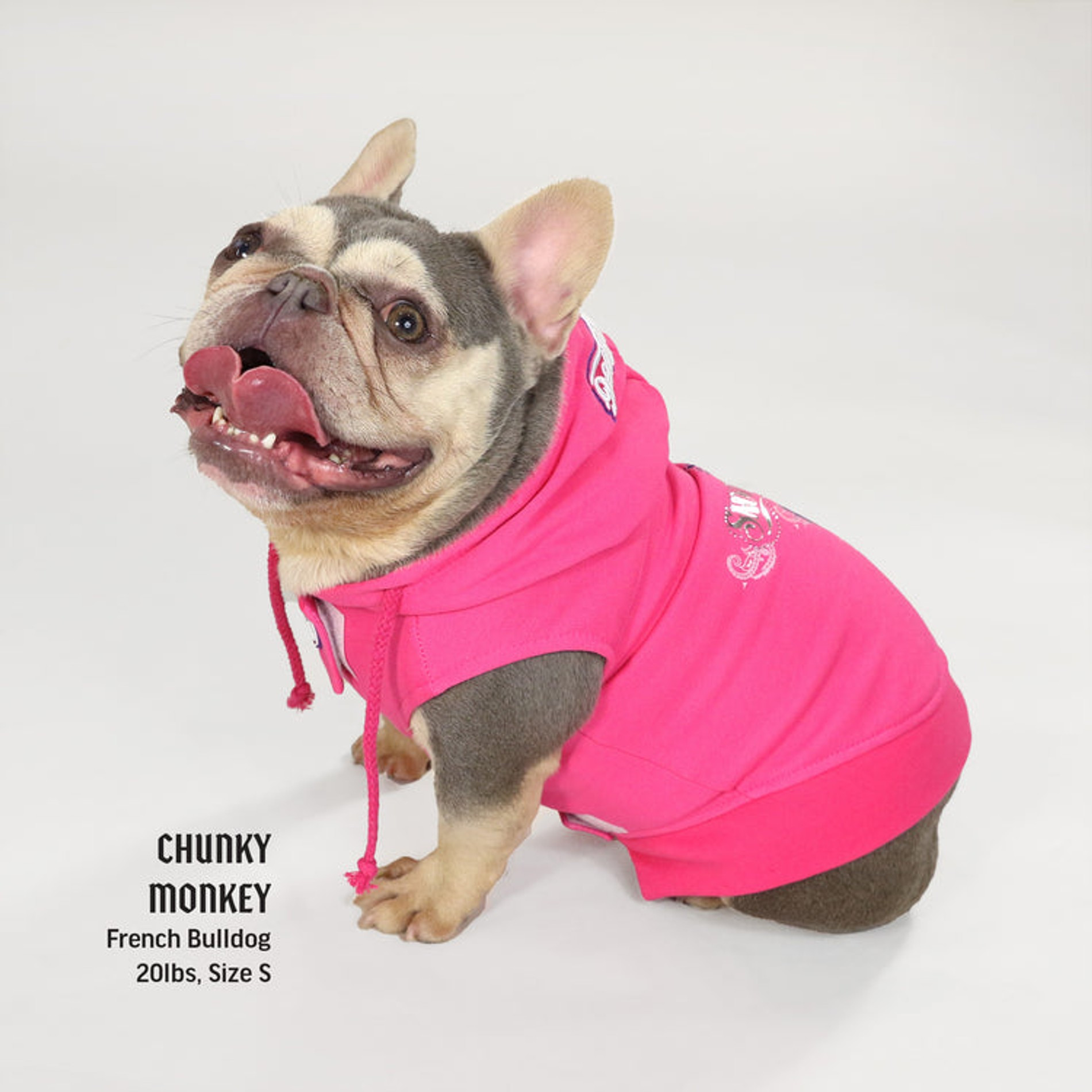 Фото: Snoop Doggie Doggs