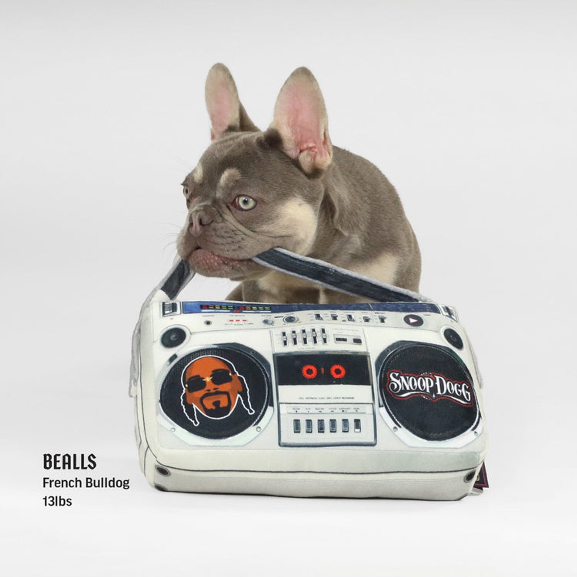 Фото: Snoop Doggie Doggs