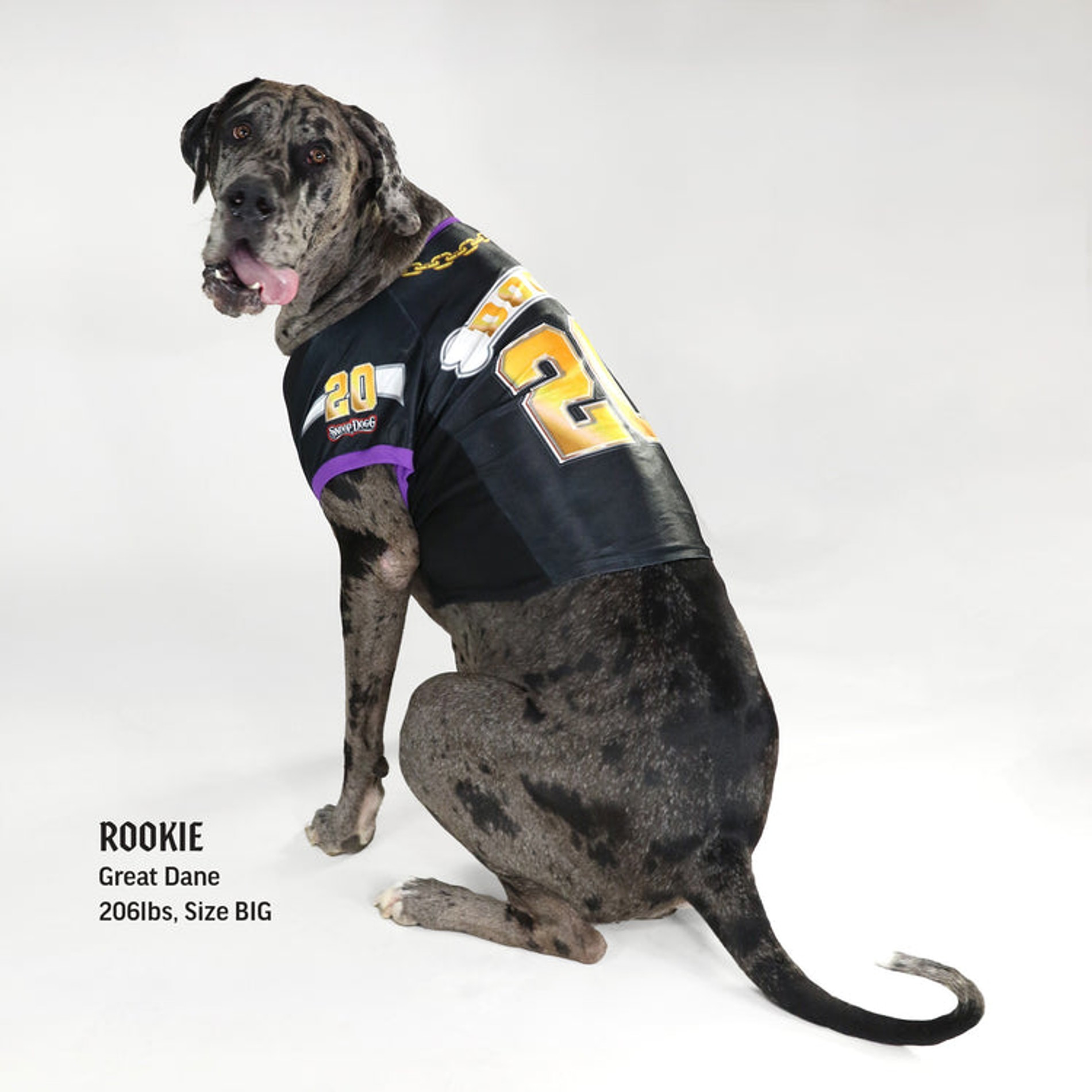 Фото: Snoop Doggie Doggs