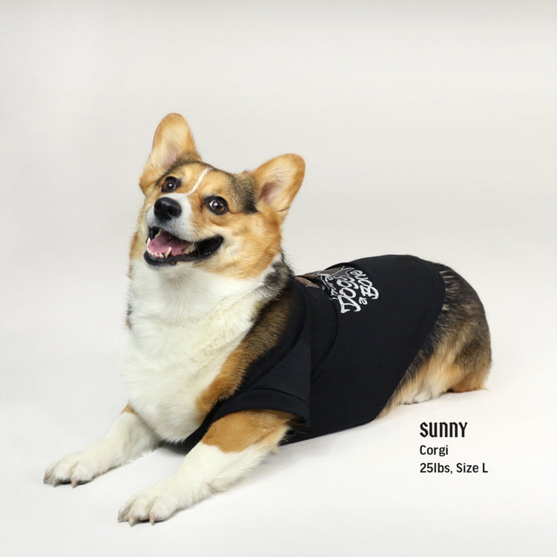 Фото: Snoop Doggie Doggs