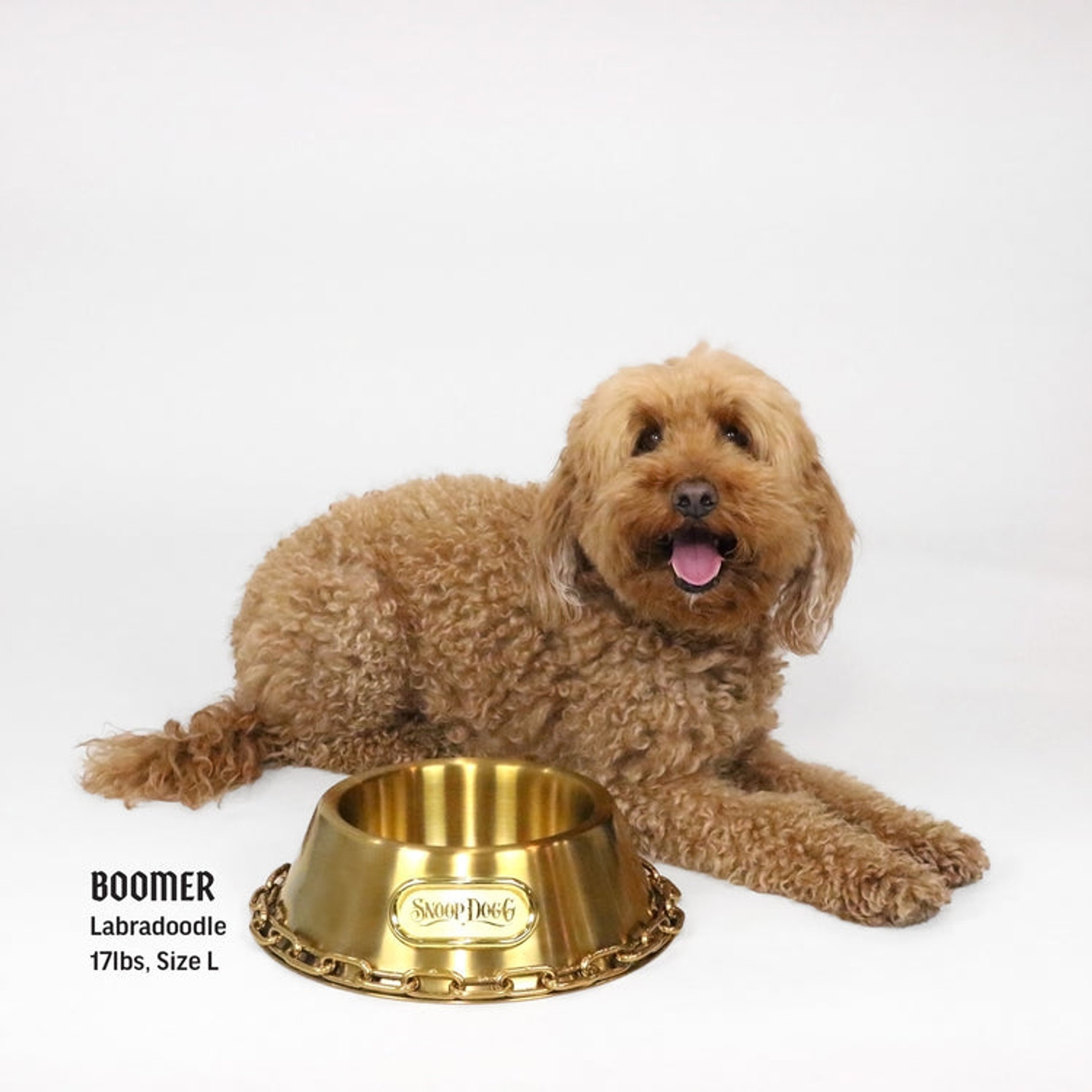Фото: Snoop Doggie Doggs
