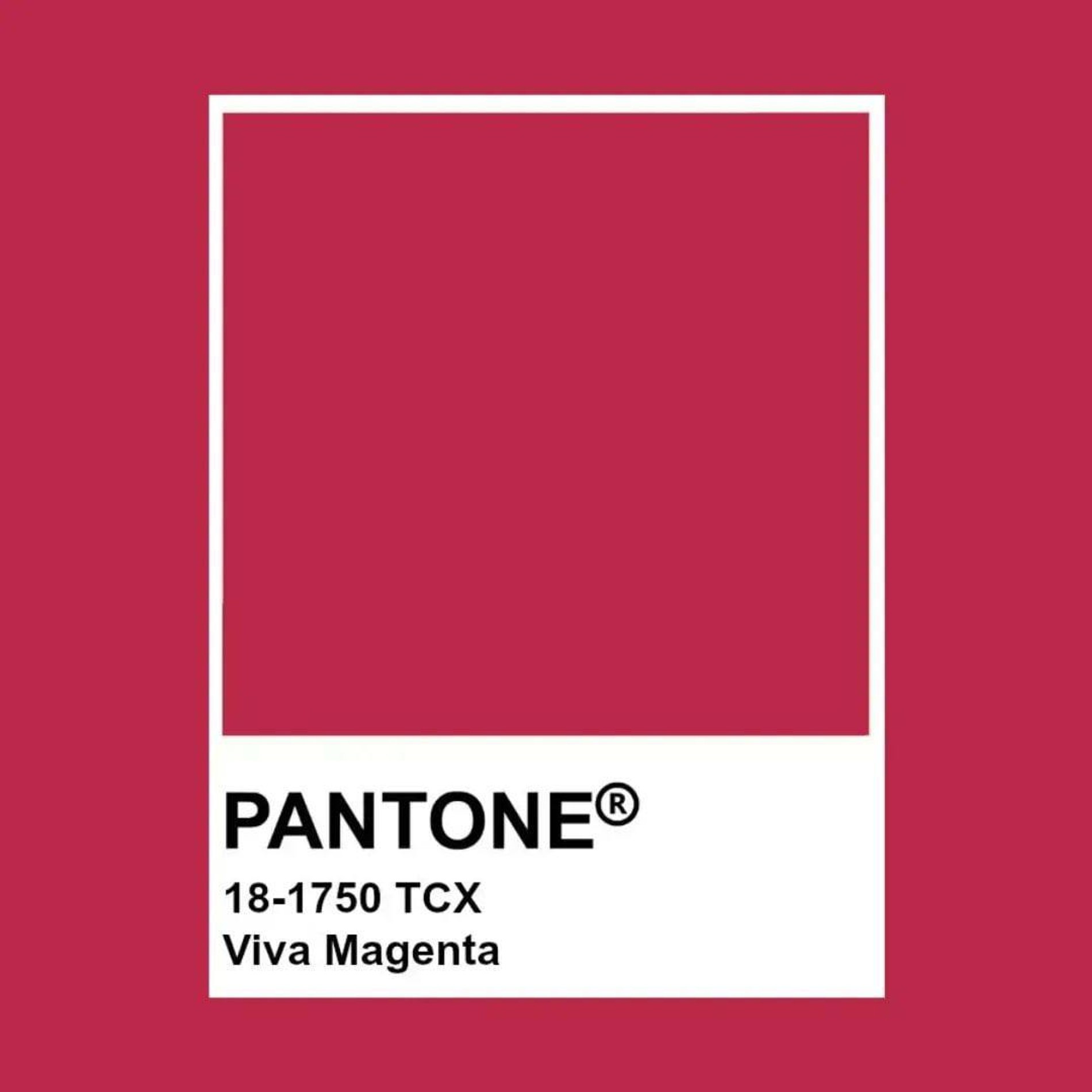 Цвет Viva Magenta
Фото: Pantone.ru