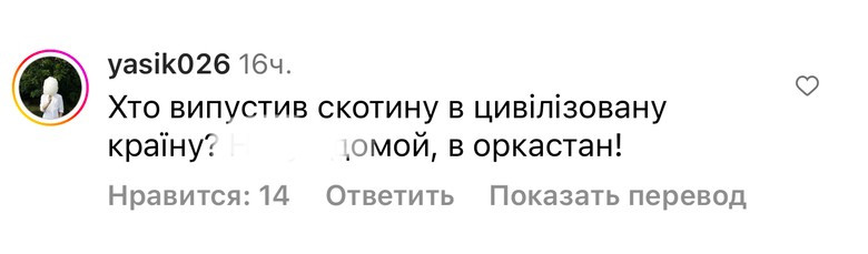 Комментарии хейтеров на страницы Анны Линниковой в Инстаграме (запрещен в РФ)