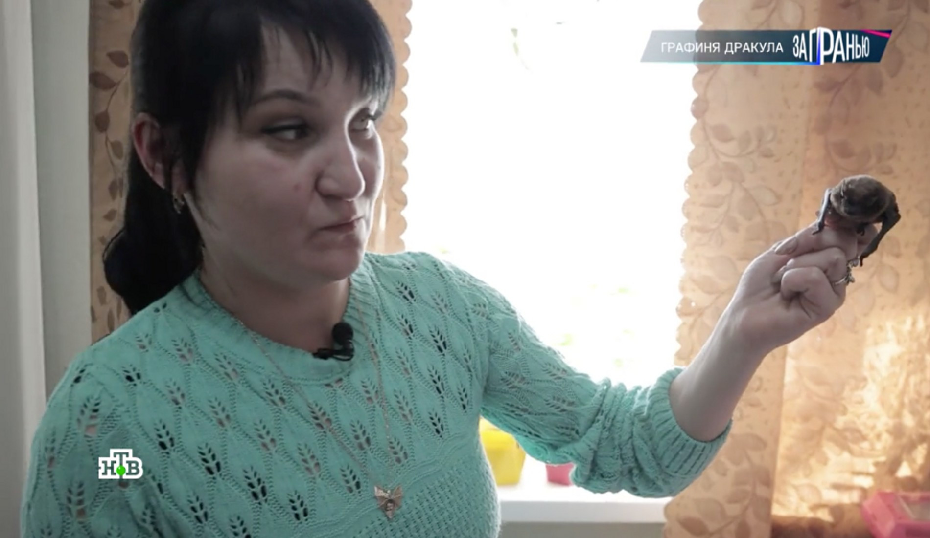 Ольга Жураковская берет летучих мышей на реабилитацию
Фото: кадр из программы НТВ