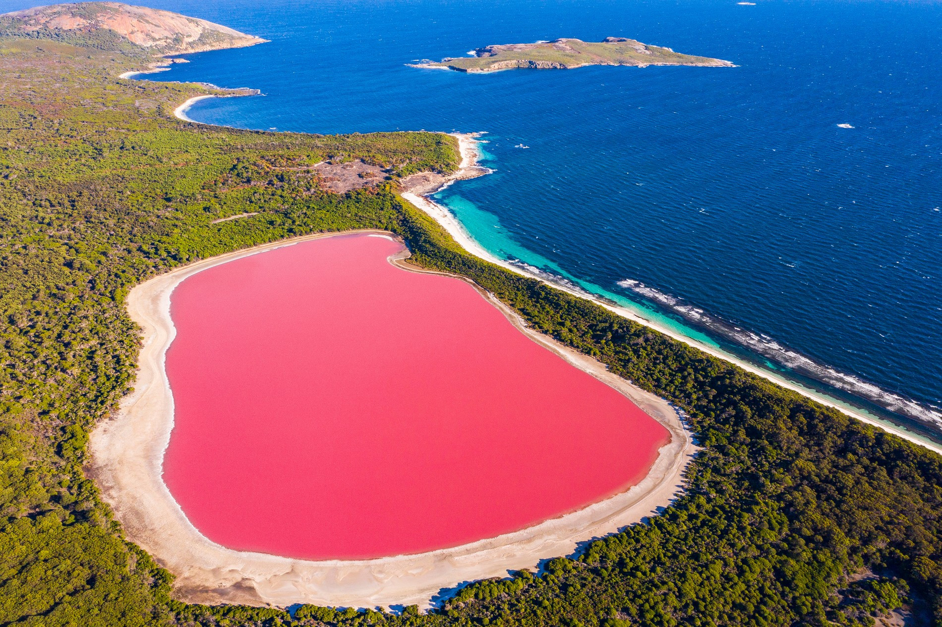 Фото: Getty Images