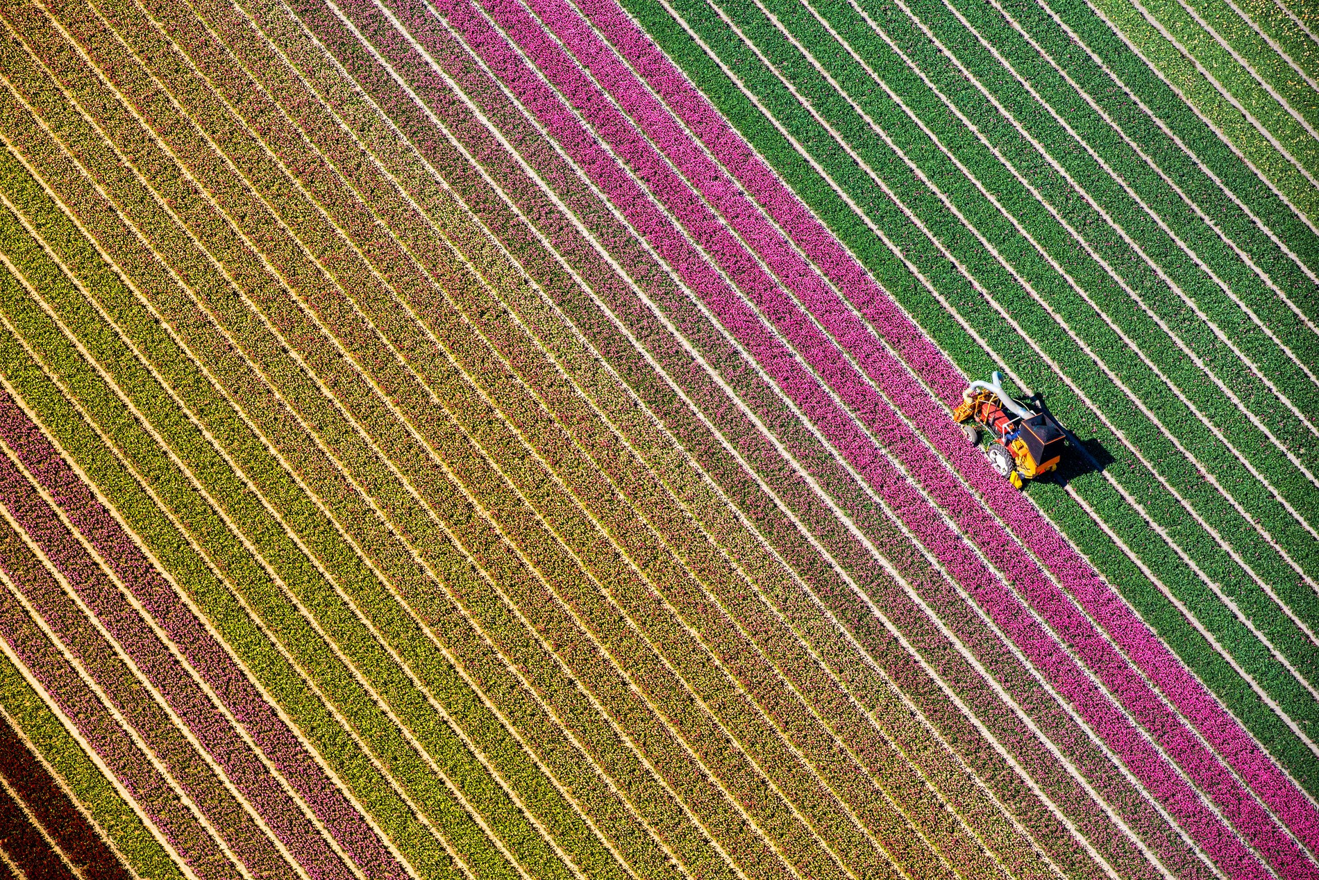 Фото: Getty Images