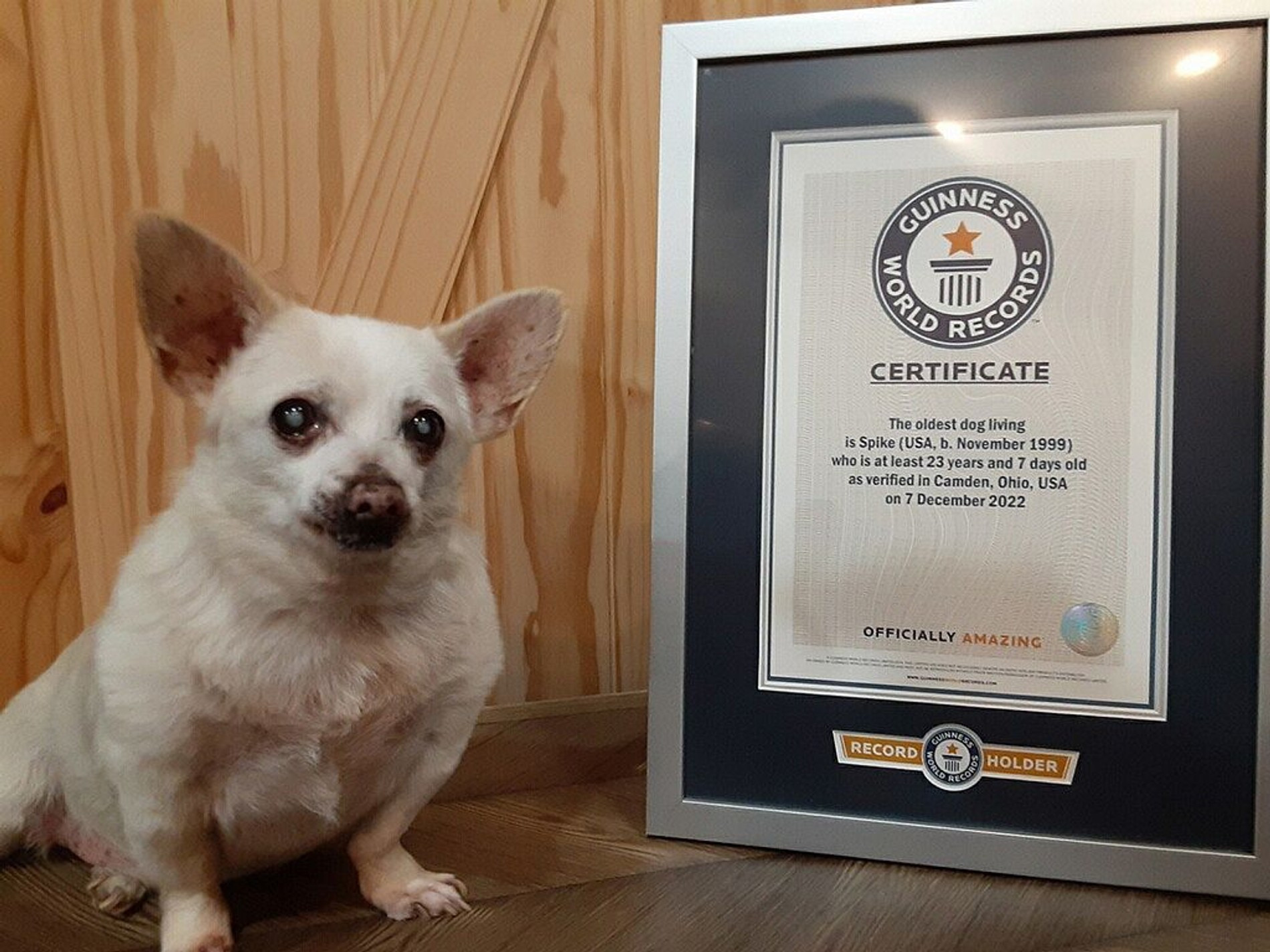 23-летний Спайк держал титул всего две недели
Фото: Guinness World Records