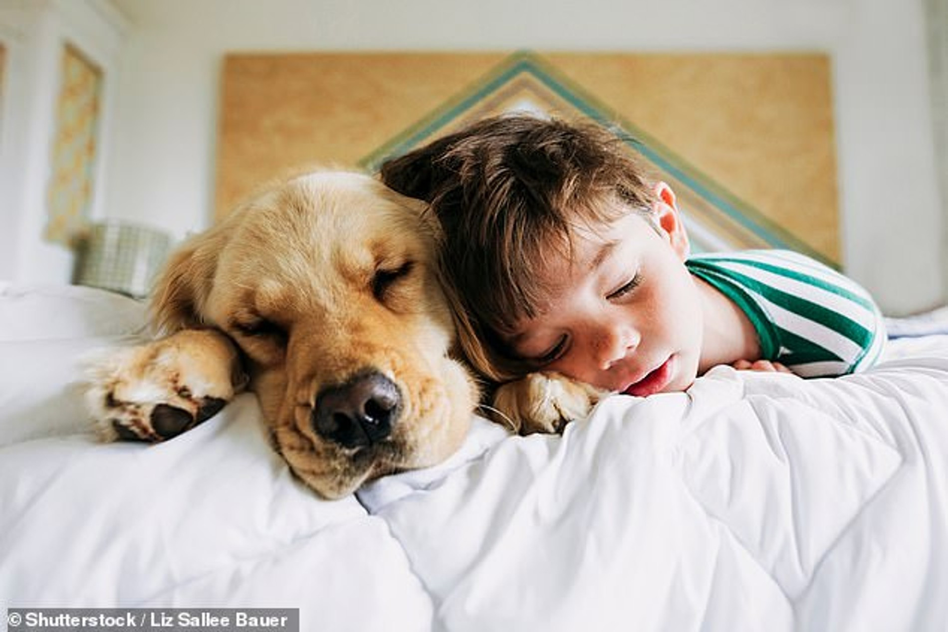 Фото: Daily Mail