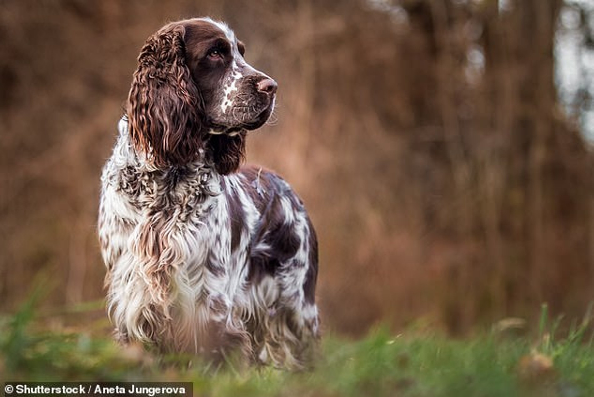 Фото: Daily Mail
