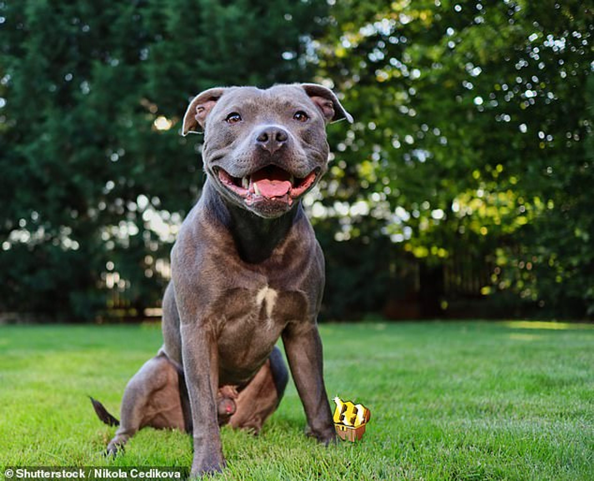 Фото: Daily Mail