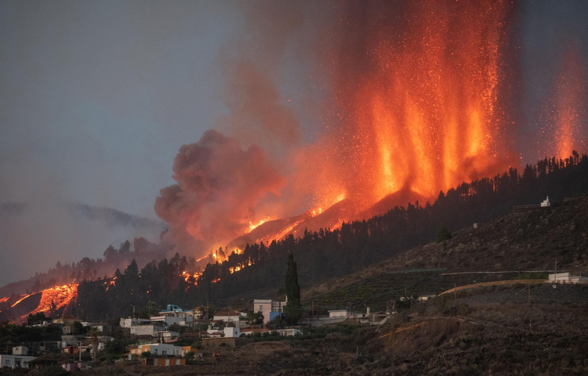 Фото: AFP