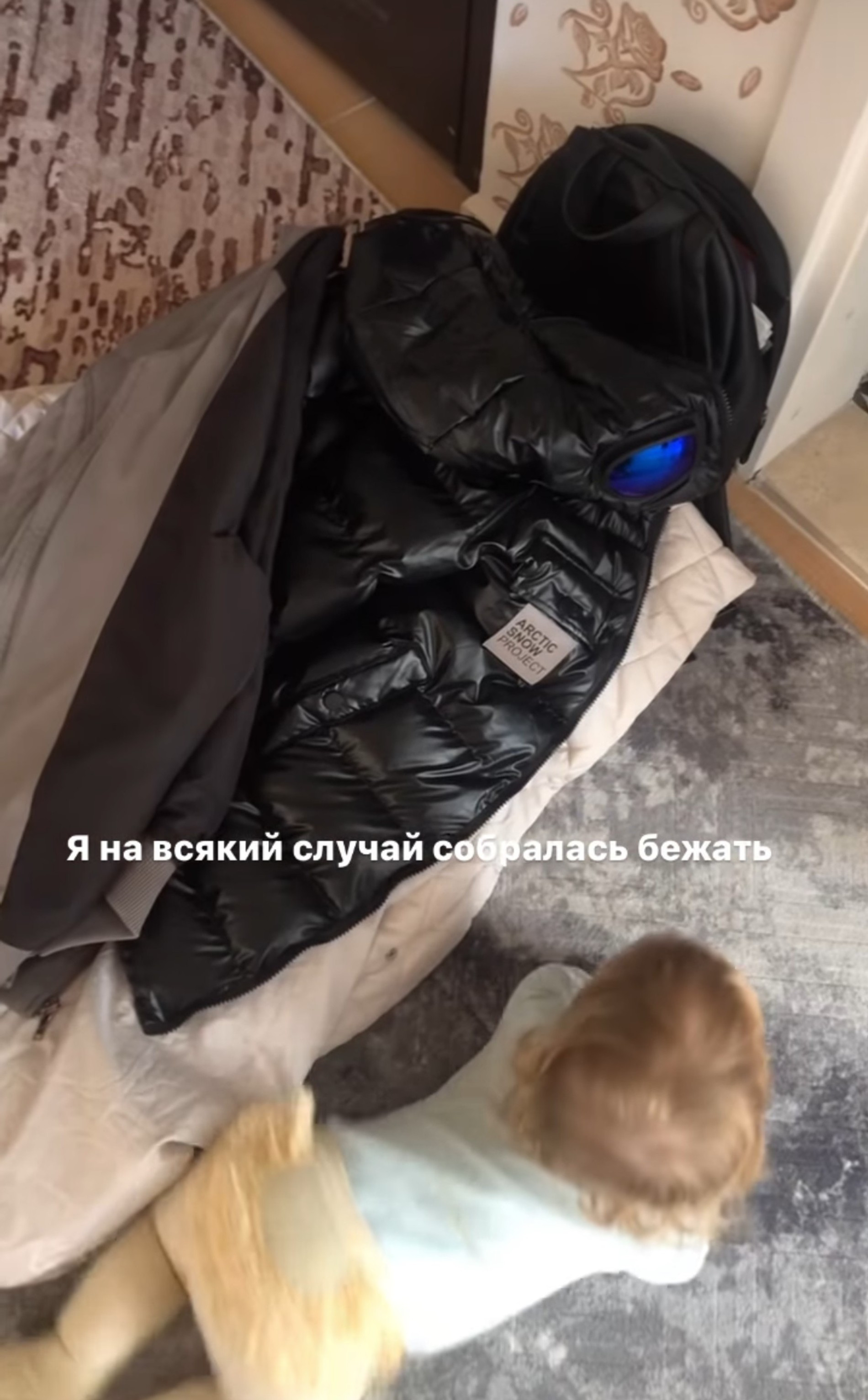 Сторис Жени Огурцовой
Фото: Инстаграм (запрещен в РФ) / @ogyrtsova_official