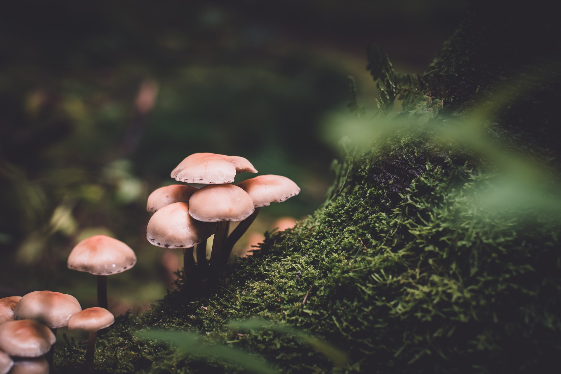 Фото: Unsplash