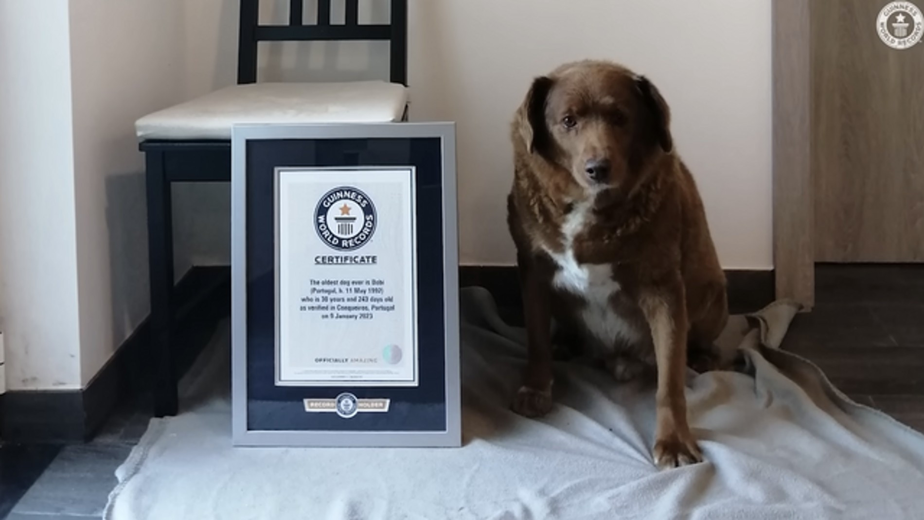  Фото: Guinness World Records