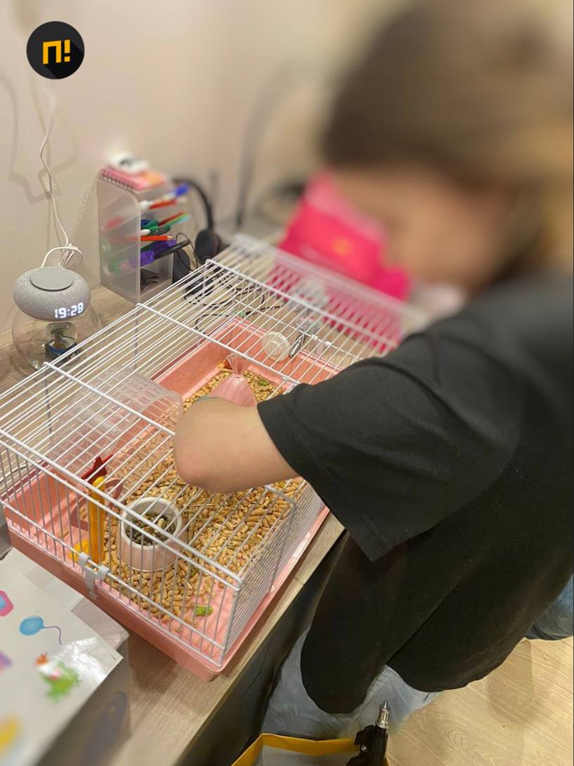 Соня с хомяком, которого ей подарили после выписки из больницы
Фото: Shot
